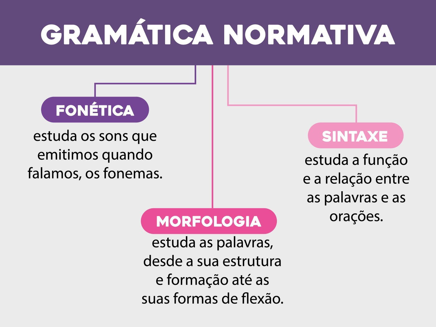 Aula 3 - Gramática Normativa: Pronome I