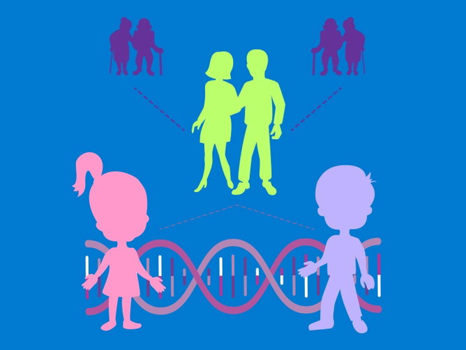 Hereditariedade