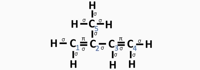 hibridações do carbono em uma cadeia carbônica