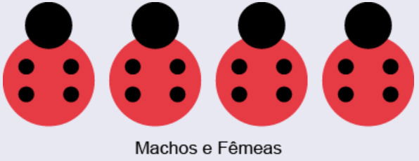 4 joaninhas com 4 bolinhas pretas