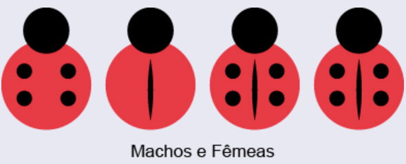 1 joaninha com 4 bolinhas pretas, 1 com risco vertical no centro e 2 com bolinhas e risco