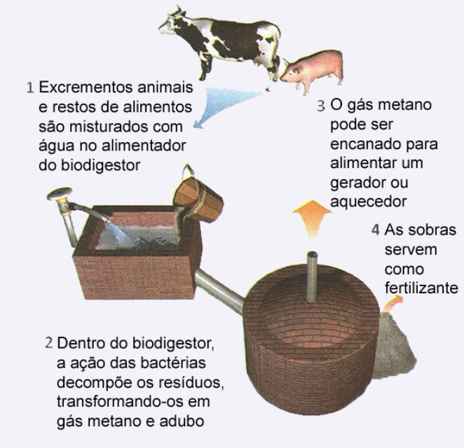 esquema de etapas do processo de biodigestão