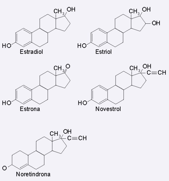 estruturas de hormônios sexuais
