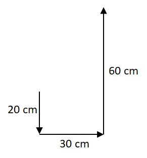 Três vetores consecutivos nas direções e sentidos: vertical para baixo, 20 cm, horizontal para a direita, 30cm, vertical para cima 60 cm.
