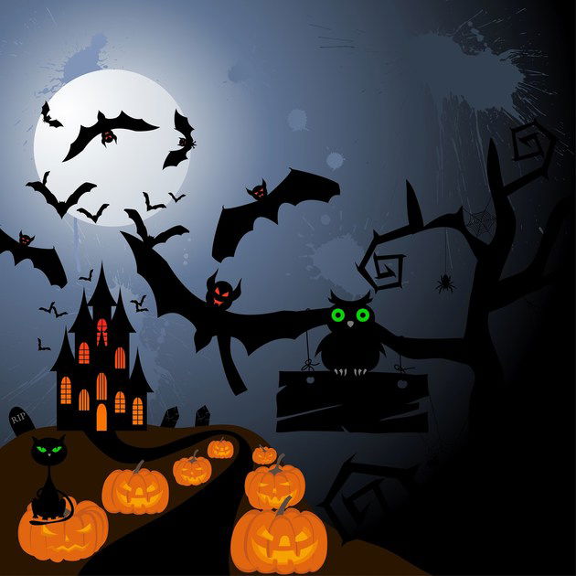 Halloween – Tudo sobre o Dia das Bruxas para a escola