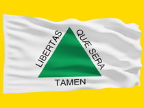 Inconfidência Mineira: resumo, causas, líderes e objetivos