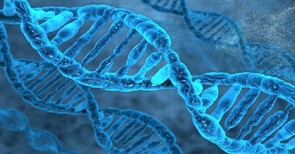 Genética: resumo e conceitos básicos (biologia)