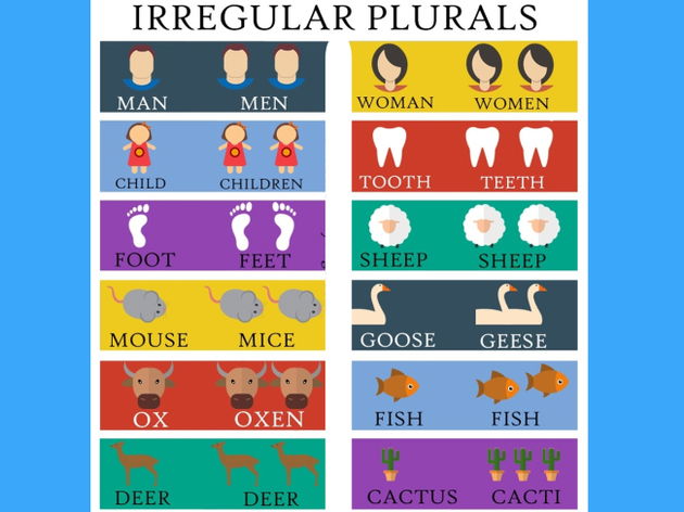 irregular plural