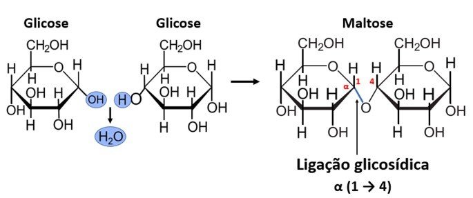 Ligação glicosídica