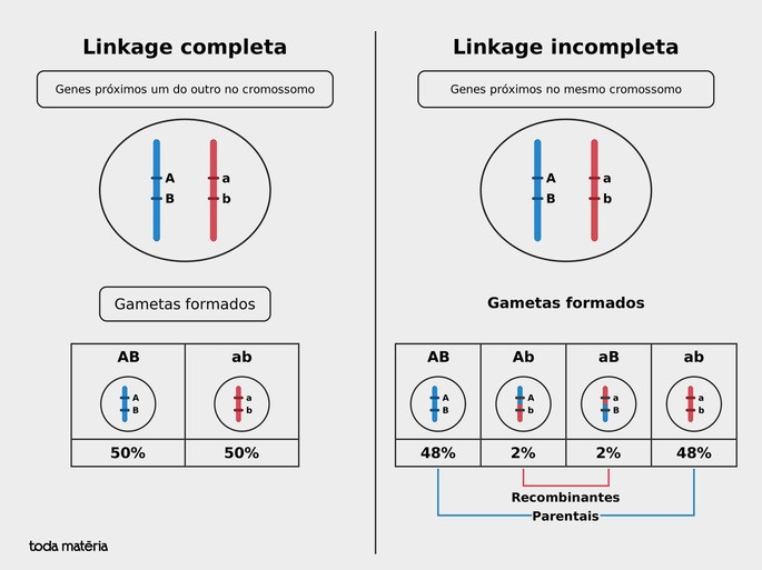 Compara&ccedil;&atilde;o entre Linkage completa e Linkage incompleta