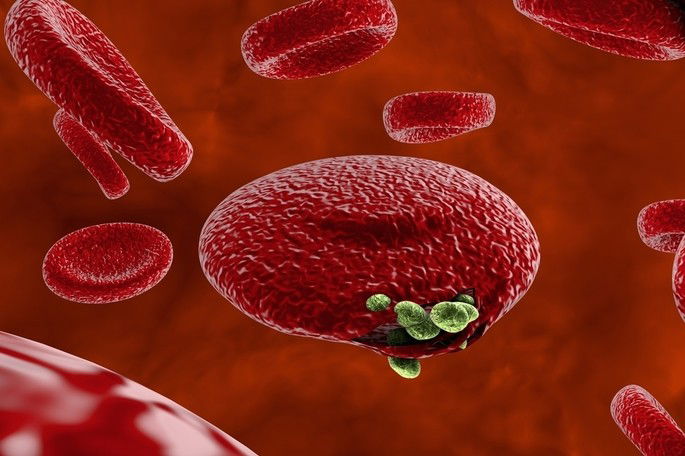 Doenças Causadas por Protozoários