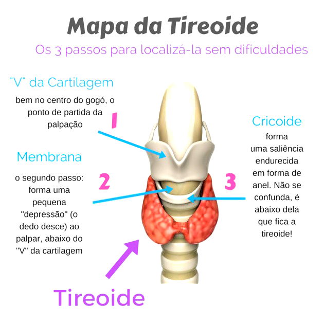 Hipotireoidismo O Que é Causas E Tratamento Toda Matéria 8653