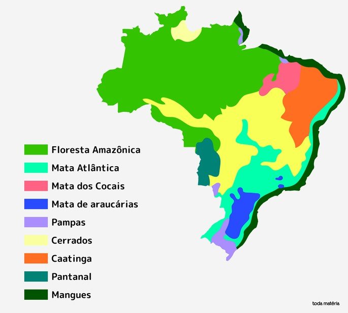 Mapa da vegetação brasileira