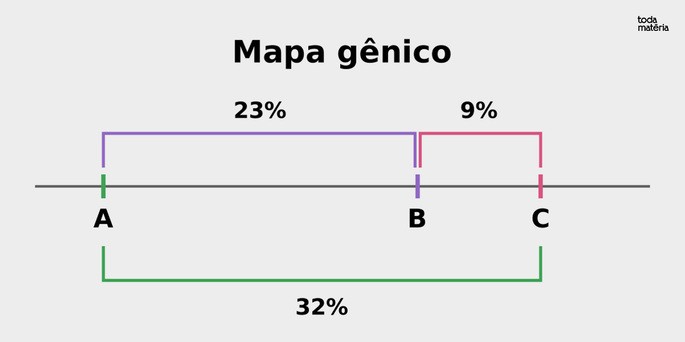 Representação de um mapa gênico