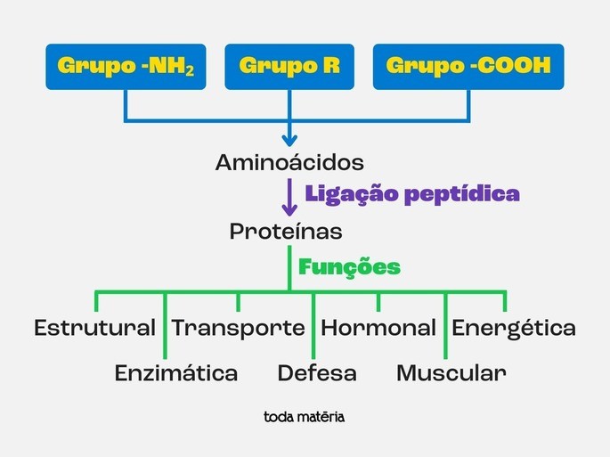 mapa mental