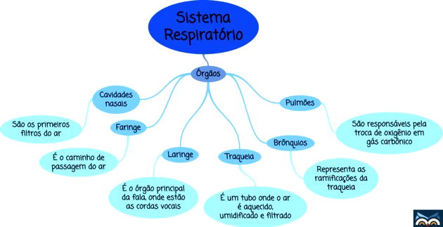 Como fazer um Mapa Mental (com exemplos) - Toda Matéria