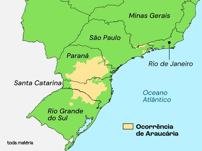 Mapa de ocorr&ecirc;ncia da Arauc&aacute;ria