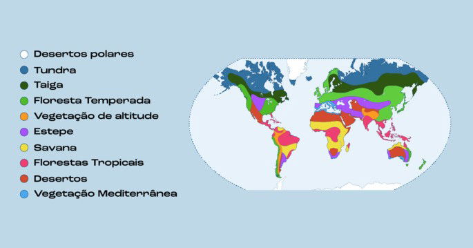 Principais tipos de vegetação do mundo - Toda Matéria