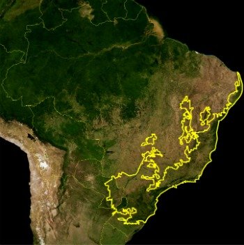 Mapa do Brasil indicando a localização da Mata Atlântica