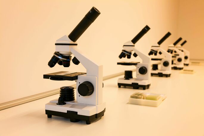 Imagem de microsc&oacute;pio &oacute;ptico