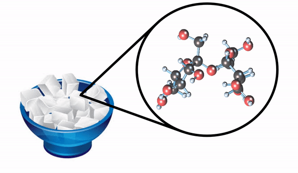 molécula de sacarose