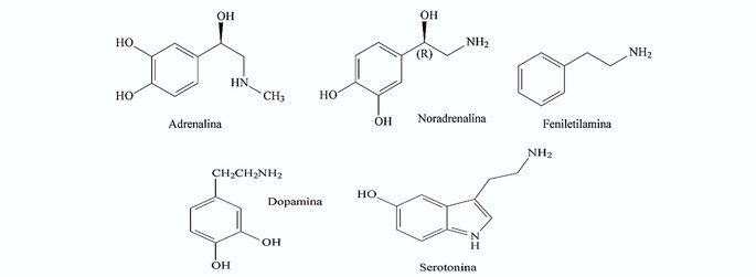 Neurotransmissores