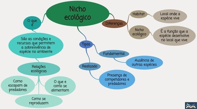 Mapa mental sobre nicho ecológico