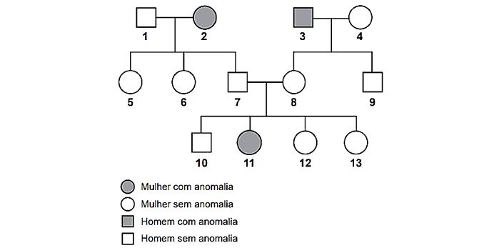 EXERCICIOS GENETICA PET 2 - Biologia Celular