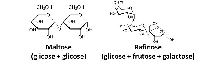 oligossacarídeos