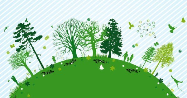 O que é Ecologia?