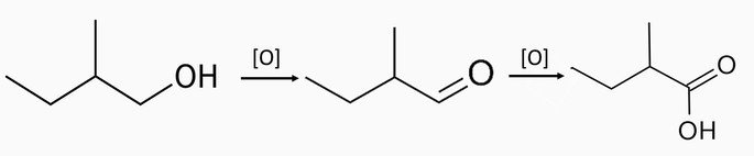 oxidação do 2-metilbutan-1-ol
