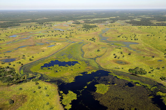 A planície do Pantanal