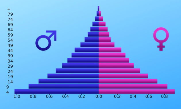 Piramide Etaria