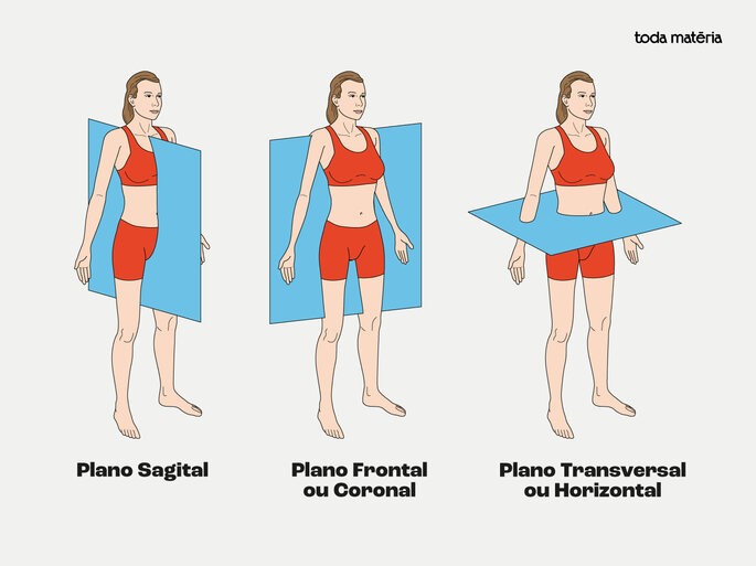 O que é Anatomia Humana?