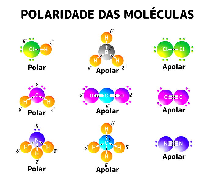 Animação De Ligação Covalente Polar