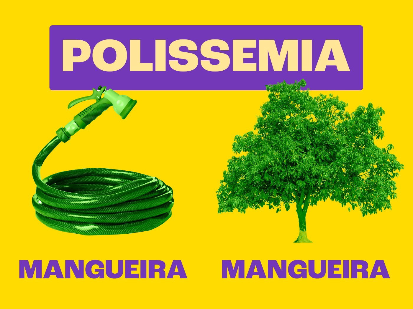 Polissemia: o que é (com exemplos) - Toda Matéria