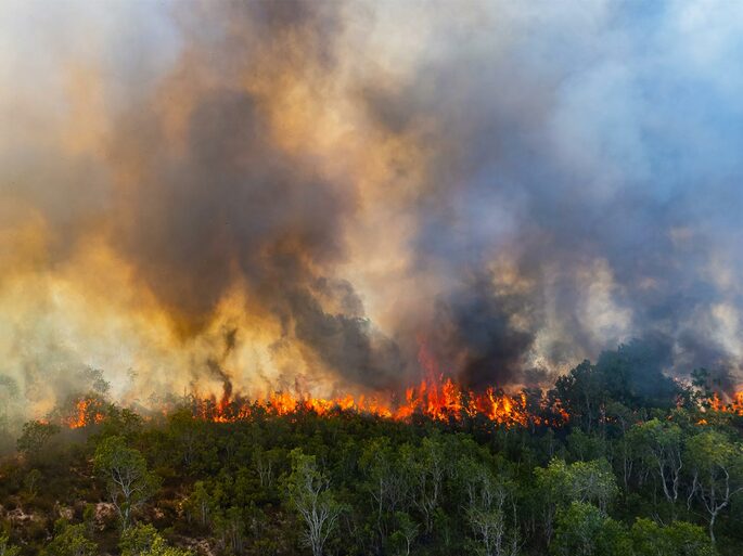 Poluição do ar ou atmosférica.