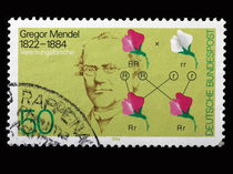 Lista com 10 Exercícios sobre a 1ª Lei de Mendel