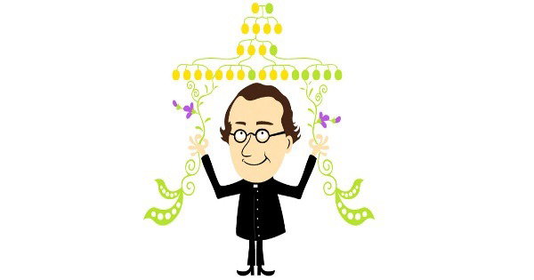 Primeira Lei de Mendel