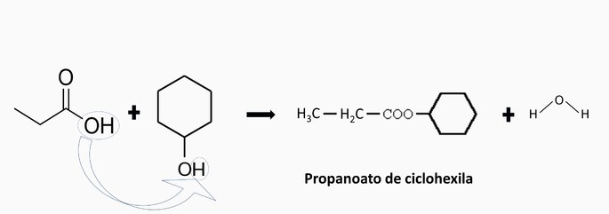 Propanoato de ciclohexila