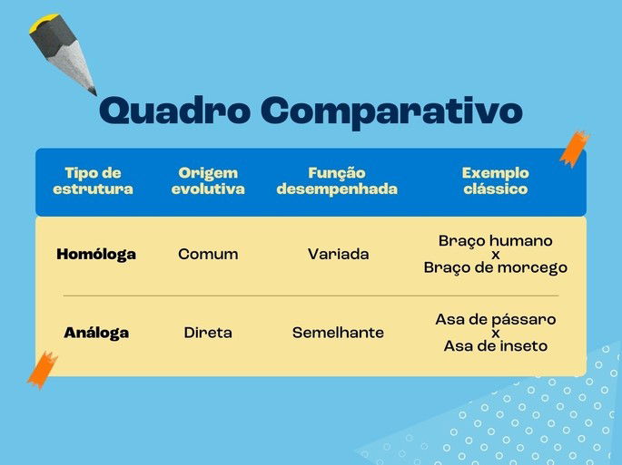 Quadro comparativo com características da homologia e analogia na biologia