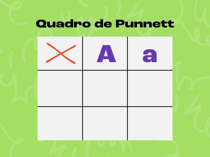 Quadro de Punnet com o gnótipo do primeiro genitor