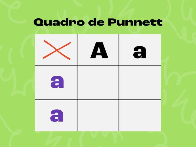 Quadro de Punnet com os alelos dos dois genitores