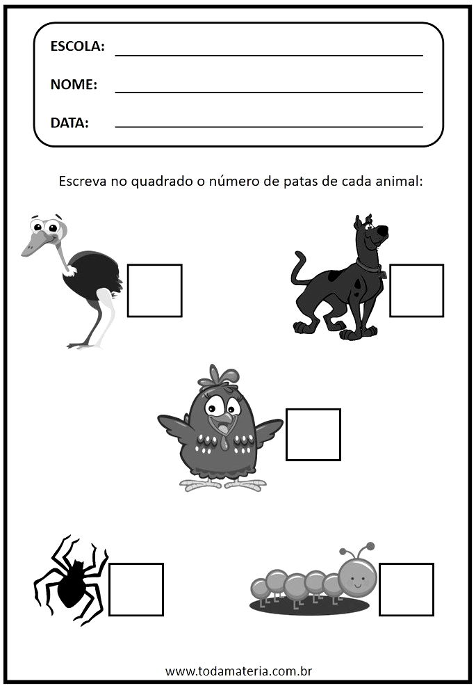 Atividades de matemática para educação infantil - Toda Matéria