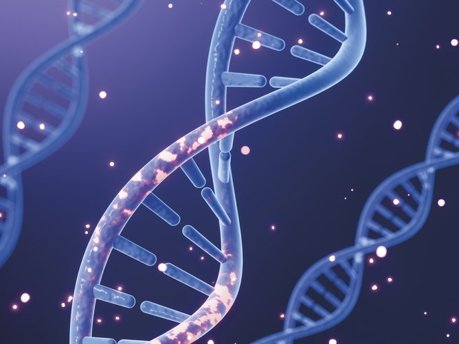 Ácidos Nucleicos: o que são, seus tipos e como são formados