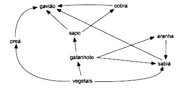 Exercícios sobre Ecologia- Descomplica, Exercícios Biologia