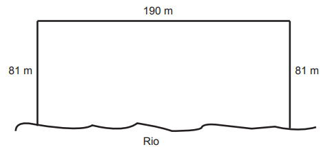 área para reflorestamento usada em questão enem 2013