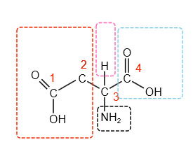 Carbono quiral na molécula de ácido aspártico