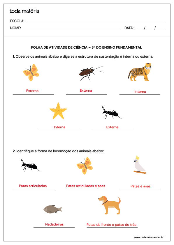 Resposta para folha de atividade 04 - 3º ano - ciências - animais
