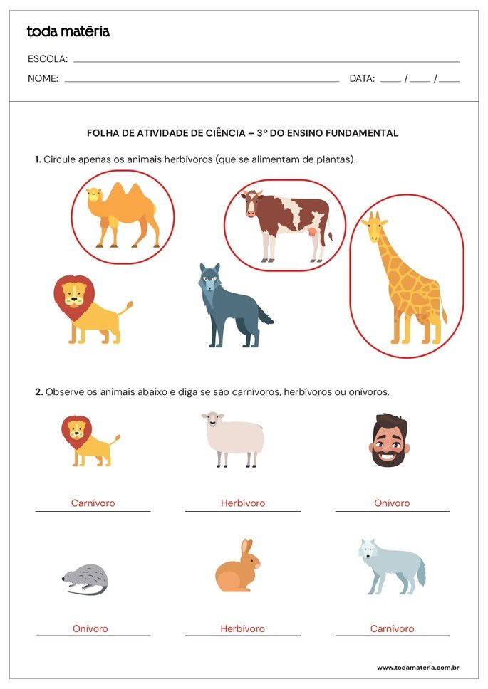 Resposta para folha de atividade 03 - 3º ano - Ciências - animais